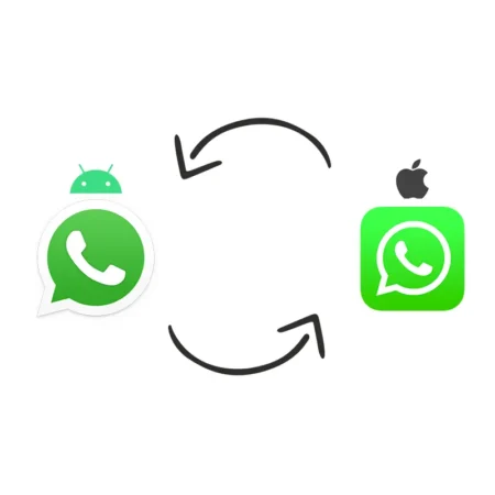 WhatsApp Transfer Service Singapore