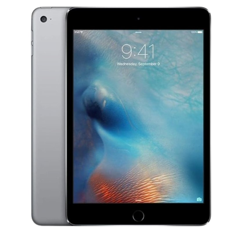 iPad Mini Gray